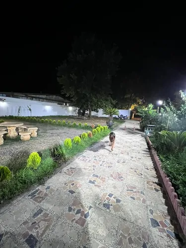 تصویر 18 - کلبه ساحلی اورکا در  انزلی