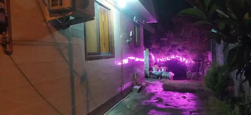 تصویر 15 - ویلا شکوفه با فوتبال دستی در  رشت