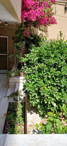 تصویر 20 - آپارتمان مبله فواد در  کاشان