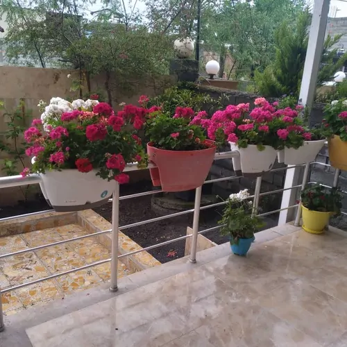 تصویر 2 - ویلا حسینی در متل قو