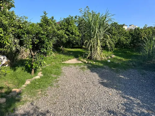 تصویر 7 - کلبه سوئیسی سروستان با جکوزی در سوادکوه