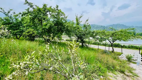 تصویر 24 - کلبه سوئیسی جانان در ماسال