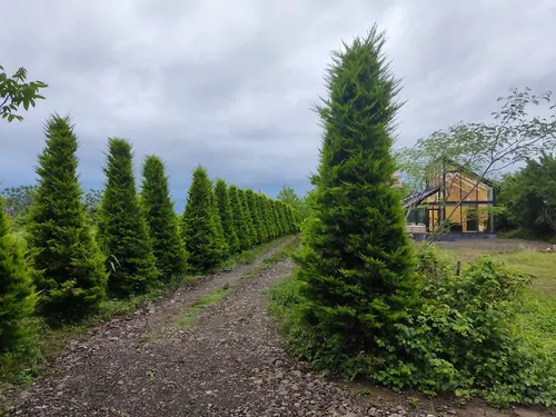 تصویر 23 - کلبه لوکس مدرن دلیجان با جکوزی در  ماسال