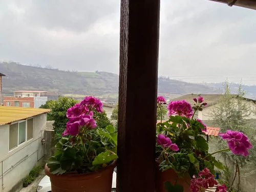 تصویر 11 - خانه سنتی شمعدونی زرندین در نکا
