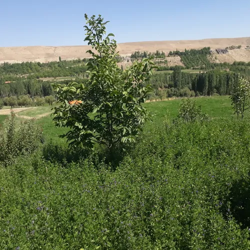 تصویر 19 - سوییت تنگه واشی  در  فیروزکوه 