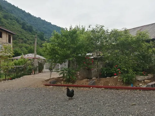 تصویر 3 - ویلا ویلا جنگلی کامران در ماسال