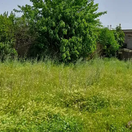 تصویر 2 - ویلا قره جه ۳ در کلاله