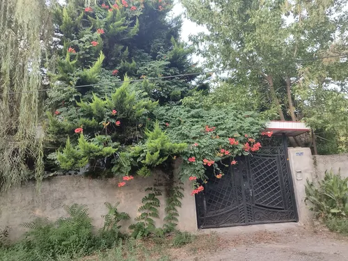 تصویر 16 - ویلا مینایی در ماسال