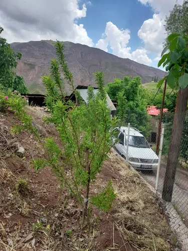 تصویر 6 - سوییت  باغ زیبا بام دیزان در  طالقان