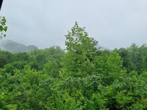 تصویر 13 - کلبه سوئیسی پوریا در  پره‌سر