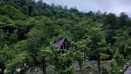 تصویر ۱ - کلبه چوبی واحد  در  اسالم