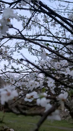 تصویر 3 - ویلا اسکای لوکسی sky luxy در چالوس