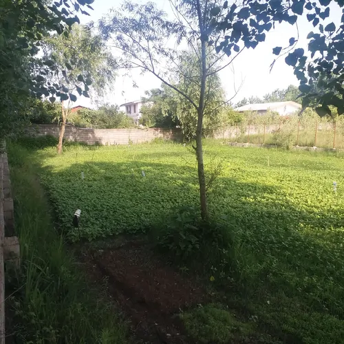 تصویر 5 - ویلا خانه در  رودسر