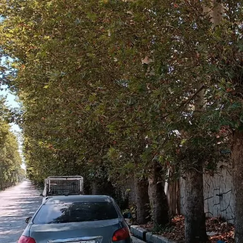تصویر 5 - ویلا ویلا در  سهیلیه