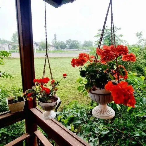 تصویر 5 - کلبه کلبه چوبی خاطره وشمه سرا  در  ماسال