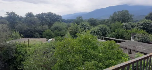 تصویر 2 - ویلا اقامتگاه  جکوزی  دار جنگلی  گلستان در بندر گز
