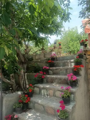 تصویر 3 - اقامتگاه بوم‌گردی اقامتگاه بومگردی و تفریحی چشم جهان در کرج