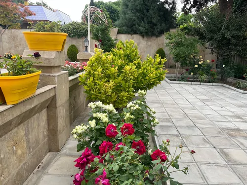 تصویر 17 - ویلا استخردار آبگرم سای لو در  فردیس