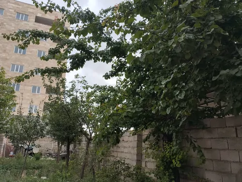تصویر 2 - آپارتمان محیطی ارام با حیاط سرسبز در سرعین