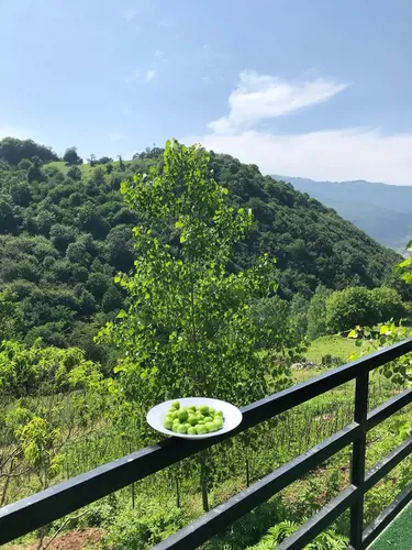 تصویر 4 - کلبه کلبه سوئیسی ریندر در رستم آباد