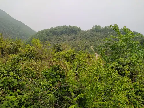 تصویر 12 - ویلا  سنتی با جکوزی در  رامسر