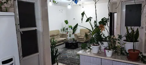 تصویر ۱ - آپارتمان مبله آروین در  بوشهر