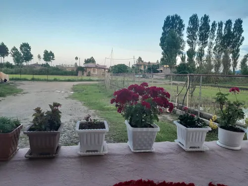 تصویر 8 - ویلا محمدعماد در  تالش