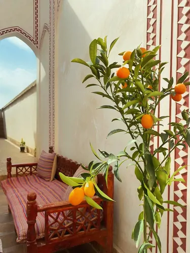 تصویر 17 - هتل سنتی سرای نفیس (اتاق فیروزه) در  کاشان