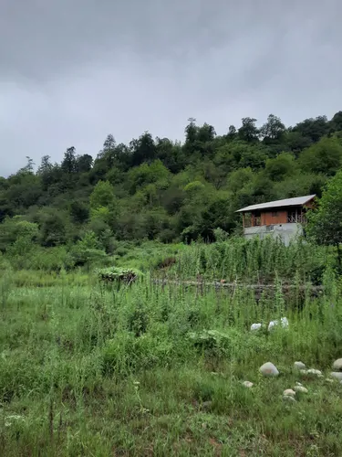 تصویر 4 - کلبه چوبی جنگلی آریالفور  در  شیرگاه