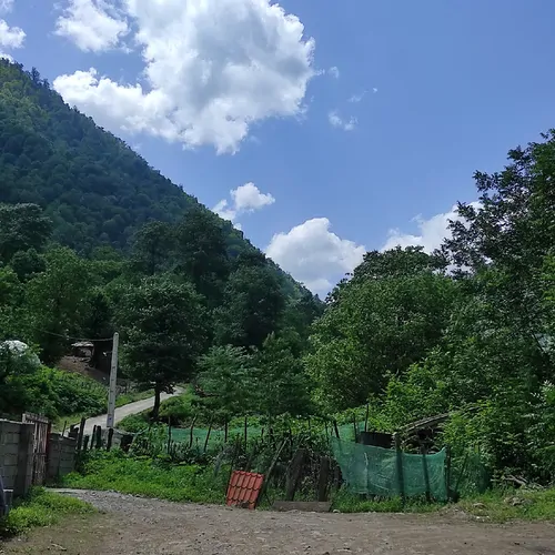تصویر 13 - ویلا جنگلی شالما کوه در  ماسال