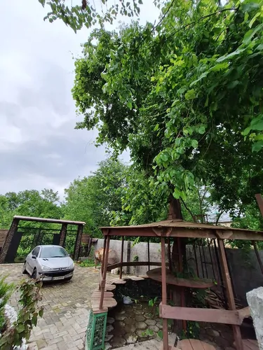 تصویر 9 - کلبه سوئیسی میروفا در  سیاهکل