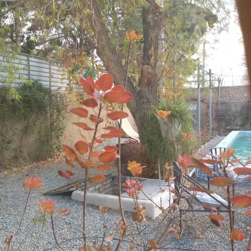 تصویر 10 - ویلا استخردار آبگرم باغ معلم  در  شهریار