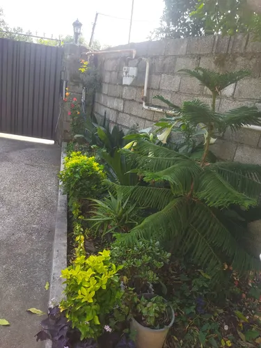 تصویر 13 - ویلا علیزاده در نزدیکی تلکابین در چابکسر