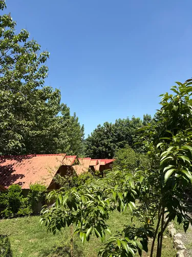 تصویر 5 - کلبه کلبه فلت آریا  در  شیرگاه