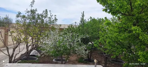 تصویر 3 - ویلا عمارت یزدان در مشهد
