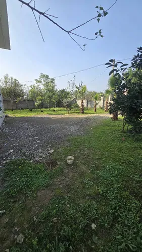 تصویر 2 - ویلا ویلا جنگلی نعمت اله در ماسال