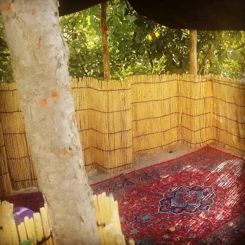 تصویر 4 - اقامتگاه بومگردی دره ی سبز کنار رود ودره سرسبز در رابر