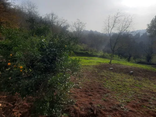 تصویر 2 - ویلا گل یاس ۱ در شفت