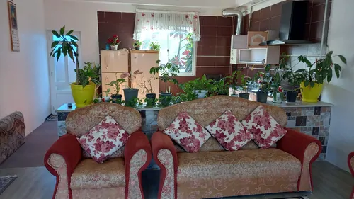 تصویر 9 - ویلا ابوالفضل در  املش