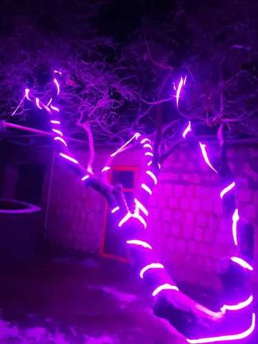 تصویر 3 - روستایی و عشایری آنیل کارزان در ایلام