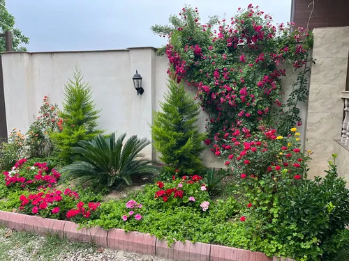 تصویر 12 - ویلا قاجار در  گرگان