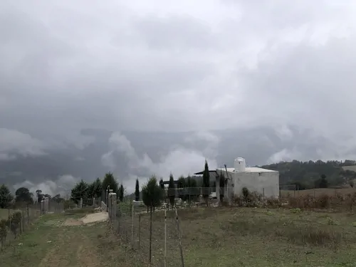 تصویر 14 - سوییت جنگلی دیاکو در  ساری