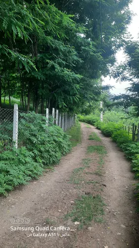 تصویر 4 - کلبه ویلا جنگلی در سکوت و آرامش به دور از ماشین ها و سرصدای خیابان در رشت