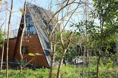 تصویر 19 - کلبه ماهتیسا در  چالوس