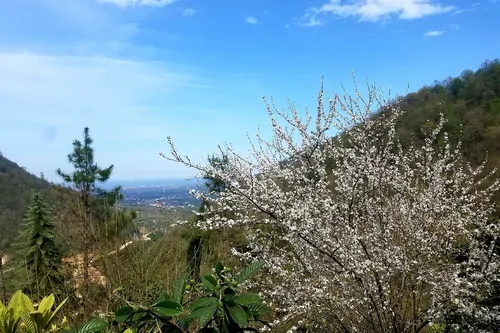 تصویر 2 - ویلا کتاله سرا در شهسوار