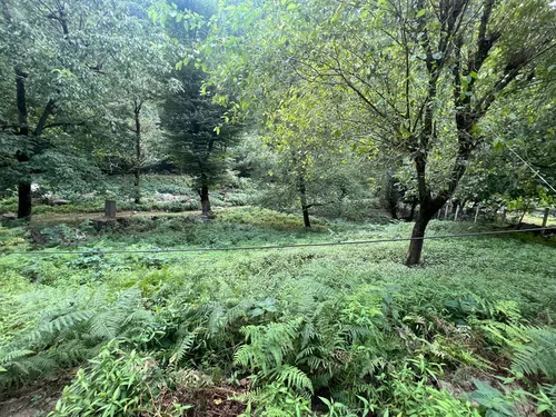 تصویر 22 - ویلا جنگلی در ماسال