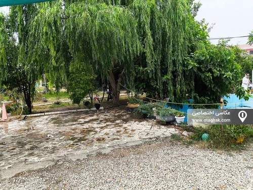 تصویر 30 - اقامتگاه بومگردی مزرعه آفتابگردان (دبل) با صبحانه در گرگان