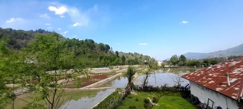 تصویر 22 - ویلا جنگلی سامیار در قلعهرودخان