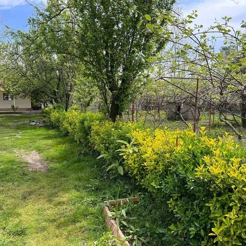 تصویر 2 - ویلا خانه باغ روستایی نزدیک کوه دریا در تالش