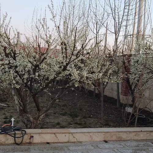 تصویر 19 - ویلا باغ استخردارآبسرد رویا در  سهیلیه